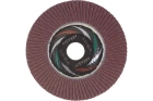 Круг лепестковый плоский A 60 КЛТ1 Луга