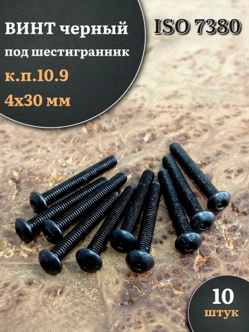 Винт чёрный М4х30 ISO 7380 под шестигранник к.п.10.9, 10 шт. фото 1