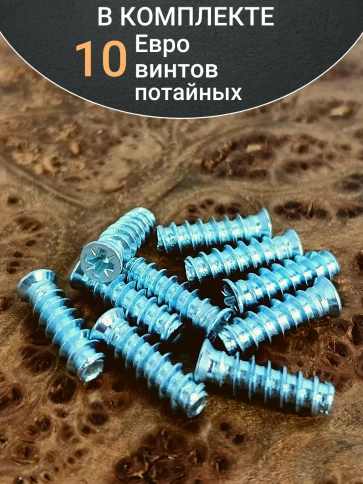 Евро винт потайной 6,3х19 мм ОЦ, 10 шт. фото 3
