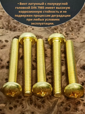 Винт 5х30  латунный с полукруглой гол. DIN7985,10 шт фото 4