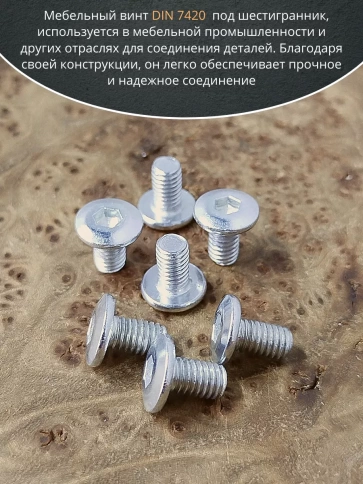 Винт мебельный 6х10 плоский под шестигранник DIN7420,20 шт фото 3