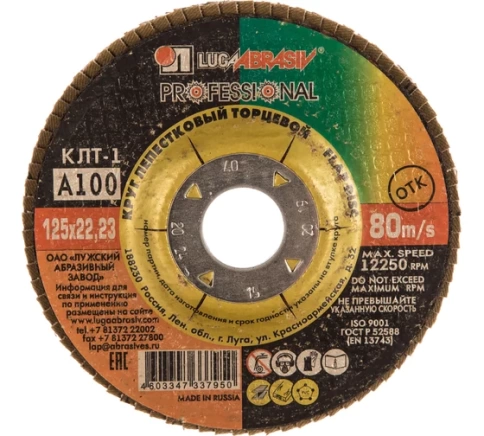 Круг лепестковый плоский A 100 КЛТ1 Луга фото 2