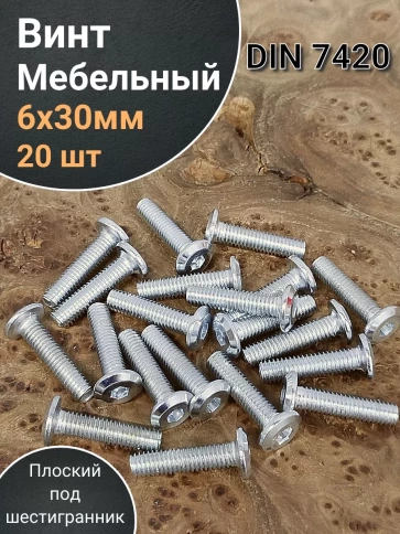 Винт мебельный 6х30 плоский под шестигранник DIN7420,20 шт фото 2