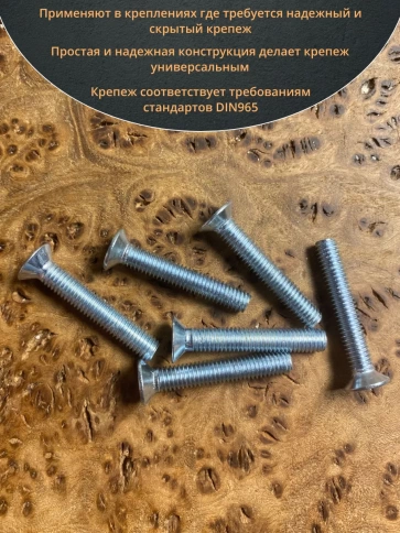 Винт потайной оцинкованный 5х25 DIN965, 100 шт. фото 5
