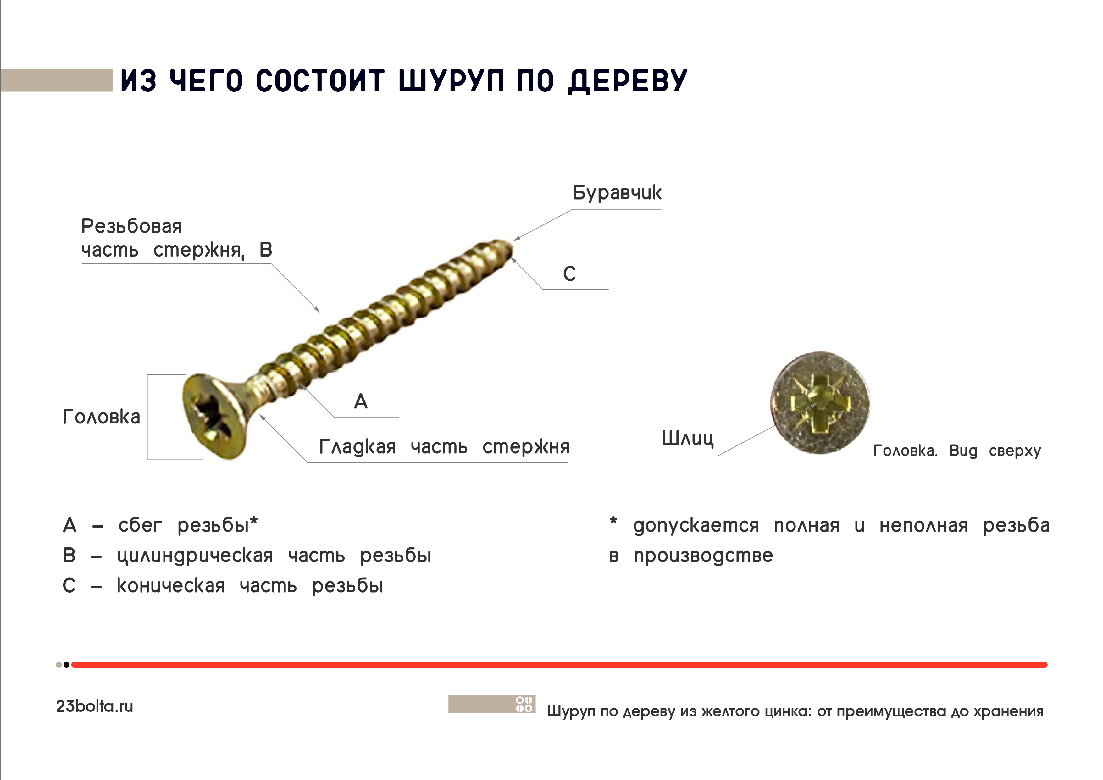 Желтый цинк от преимуществ до хранения-02
